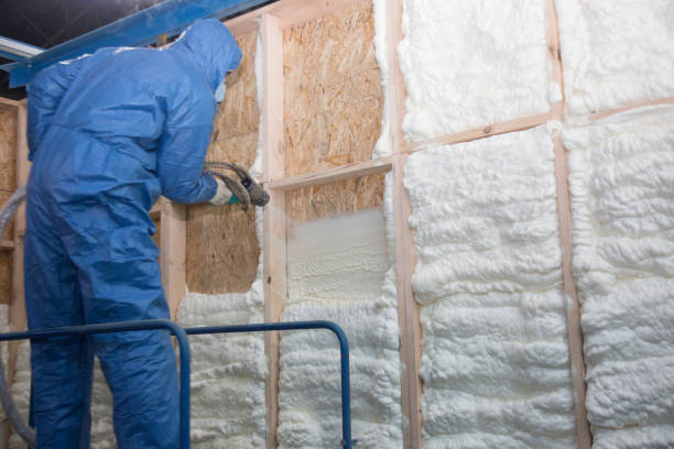 Best Attic Insulation Installation in Bradford, TN